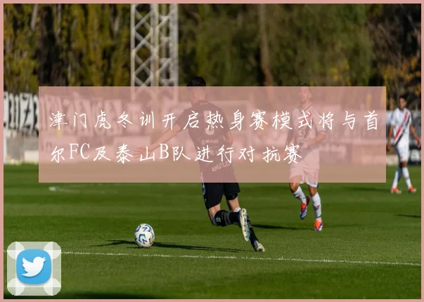 津门虎冬训开启热身赛模式将与首尔FC及泰山B队进行对抗赛