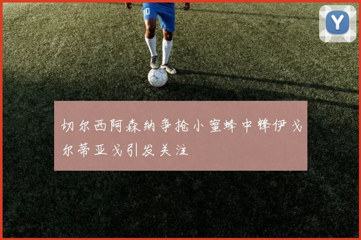 切尔西阿森纳争抢小蜜蜂中锋伊戈尔蒂亚戈引发关注