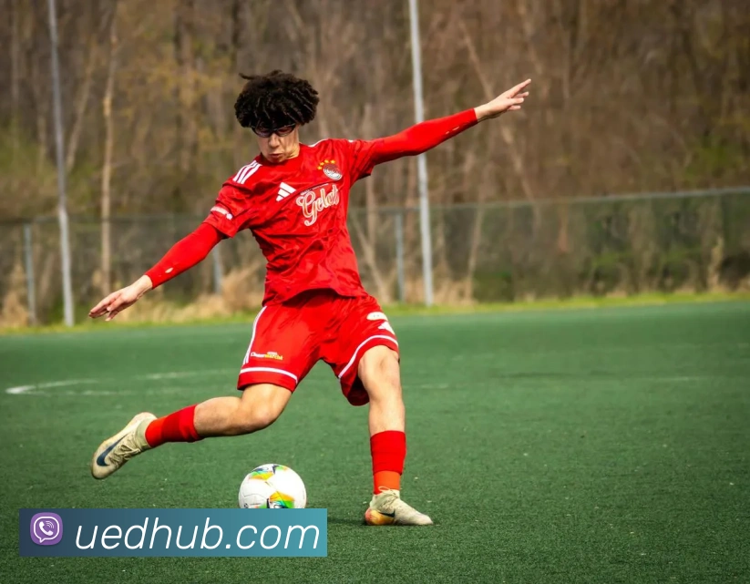 UED体育APP 高清赛事图