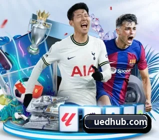 UED体育 APP